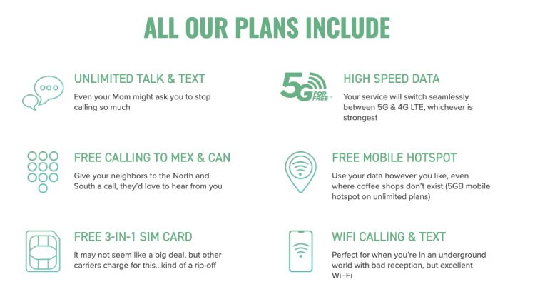 mint mobile phone bill